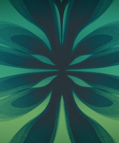 visual identification of the festival