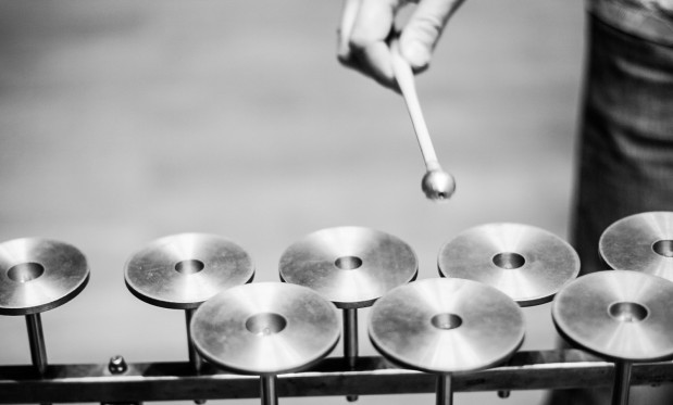 Picture of a percussion instrument